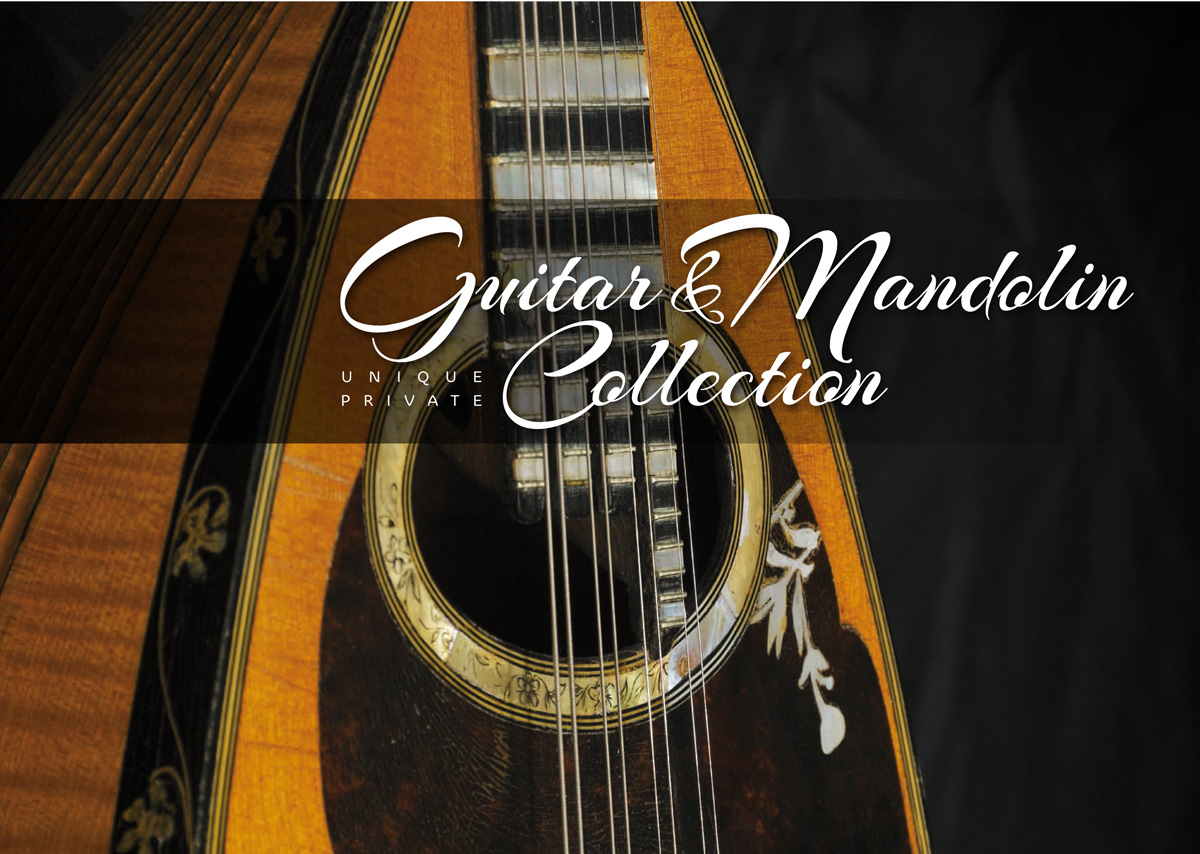 Unique Guitar Collection